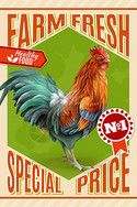 公鸡农场销售提供老式海报健康机家禽肉类销售公鸡养殖场市场价格提供