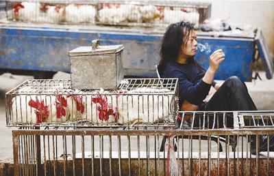 安徽淮北市一菜市场内销售家禽的摊位冷冷清清.